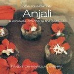 Anjali - U. Srinivas Song Download